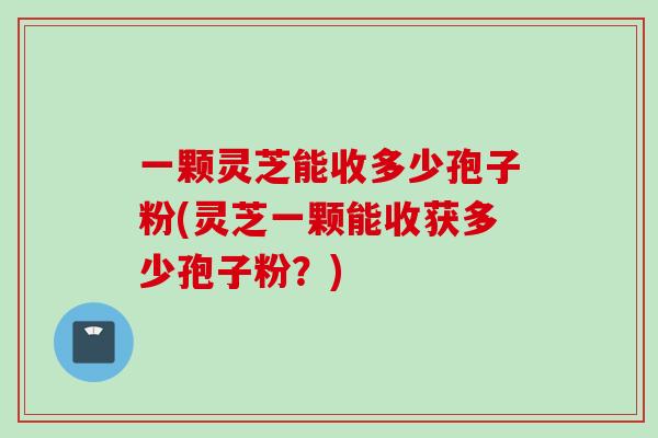 一颗灵芝能收多少孢子粉(灵芝一颗能收获多少孢子粉?) 一颗灵芝能收多少孢子粉(灵芝一颗能收获多少孢子粉?)