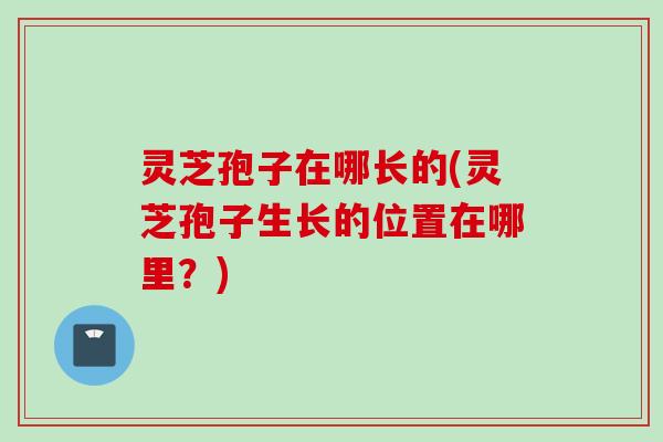 灵芝孢子在哪长的(灵芝孢子生长的位置在哪里？)