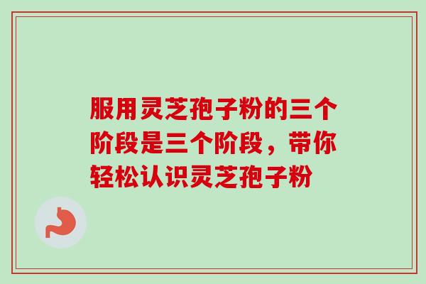 服用灵芝孢子粉的三个阶段是三个阶段，带你轻松认识灵芝孢子粉