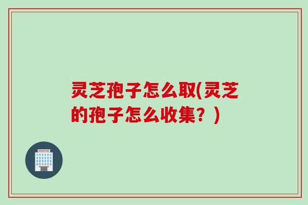 灵芝孢子怎么取(灵芝的孢子怎么收集？)