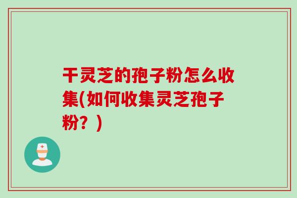 干灵芝的孢子粉怎么收集(如何收集灵芝孢子粉？)