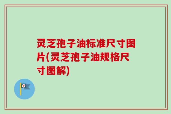 灵芝孢子油标准尺寸图片(灵芝孢子油规格尺寸图解)