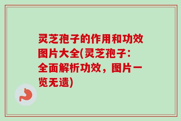 灵芝孢子的作用和功效图片大全(灵芝孢子：全面解析功效，图片一览无遗)