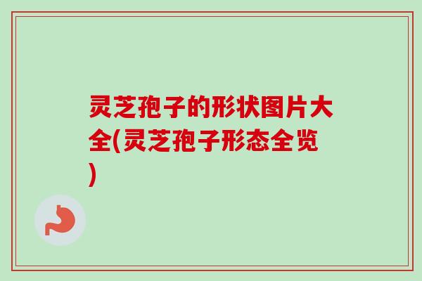 灵芝孢子的形状图片大全(灵芝孢子形态全览) 灵芝孢子的形状图片大全(灵芝孢子形态全览)