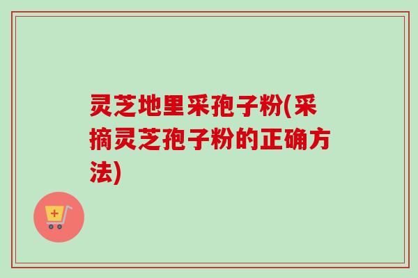 灵芝地里采孢子粉(采摘灵芝孢子粉的正确方法)