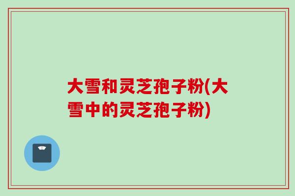 大雪和灵芝孢子粉(大雪中的灵芝孢子粉)