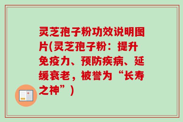 灵芝孢子粉功效说明图片(灵芝孢子粉：提升免疫力、预防疾病、延缓衰老，被誉为“长寿之神”)