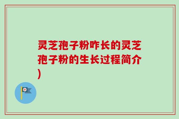 灵芝孢子粉咋长的灵芝孢子粉的生长过程简介) 灵芝孢子粉咋长的灵芝孢子粉的生长过程简介)