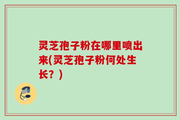 灵芝孢子粉在哪里喷出来(灵芝孢子粉何处生长？)