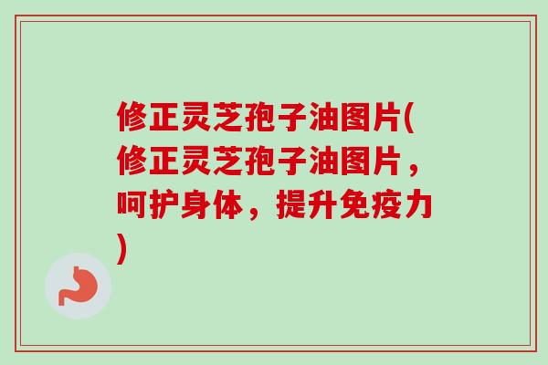 修正灵芝孢子油图片(修正灵芝孢子油图片，呵护身体，提升免疫力)
