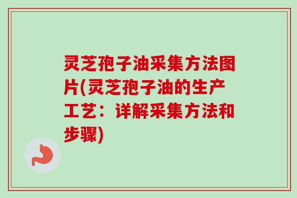 灵芝孢子油采集方法图片(灵芝孢子油的生产工艺：详解采集方法和步骤)