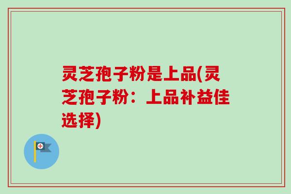灵芝孢子粉是上品(灵芝孢子粉：上品补益佳选择)