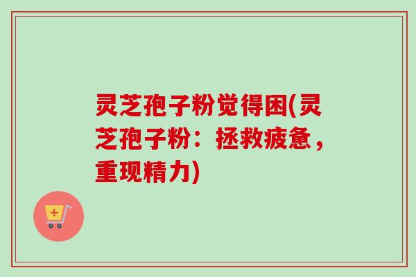 灵芝孢子粉觉得困(灵芝孢子粉：拯救疲惫，重现精力)