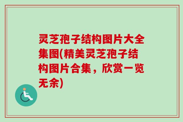 灵芝孢子结构图片大全集图(精美灵芝孢子结构图片合集，欣赏一览无余)