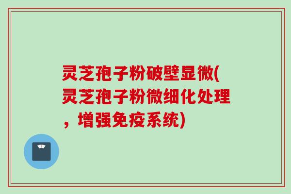 灵芝孢子粉破壁显微(灵芝孢子粉微细化处理，增强免疫系统)