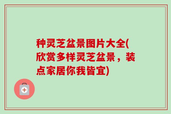 种灵芝盆景图片大全(欣赏多样灵芝盆景，装点家居你我皆宜)