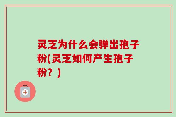 灵芝为什么会弹出孢子粉(灵芝如何产生孢子粉？)