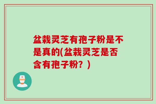 盆栽灵芝有孢子粉是不是真的(盆栽灵芝是否含有孢子粉？)
