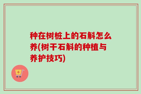 种在树桩上的石斛怎么养(树干石斛的种植与养护技巧) 种在树桩上的石斛怎么养(树干石斛的种植与养护技巧)