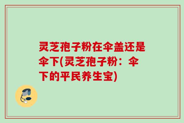 灵芝孢子粉在伞盖还是伞下(灵芝孢子粉：伞下的平民养生宝)
