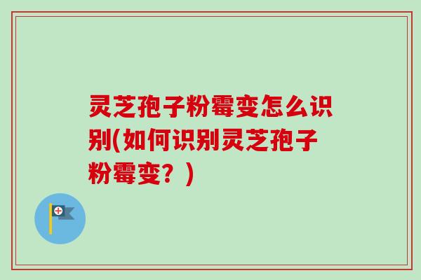 灵芝孢子粉霉变怎么识别(如何识别灵芝孢子粉霉变？)