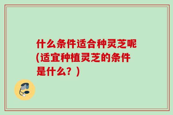 什么条件适合种灵芝呢(适宜种植灵芝的条件是什么？)