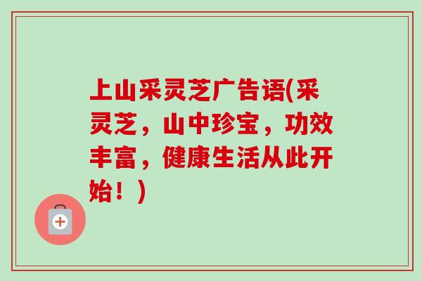 上山采灵芝广告语(采灵芝，山中珍宝，功效丰富，健康生活从此开始！)