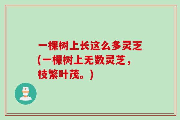 一棵树上长这么多灵芝(一棵树上无数灵芝,枝繁叶茂。) 一棵树上长这么多灵芝(一棵树上无数灵芝,枝繁叶茂。)