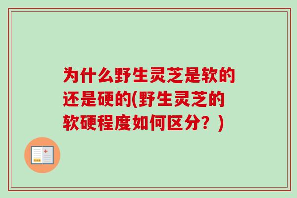 为什么野生灵芝是软的还是硬的(野生灵芝的软硬程度如何区分？)