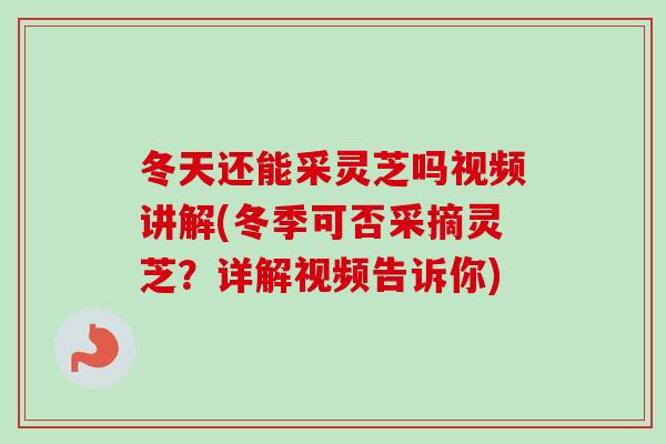 冬天还能采灵芝吗视频讲解(冬季可否采摘灵芝？详解视频告诉你)