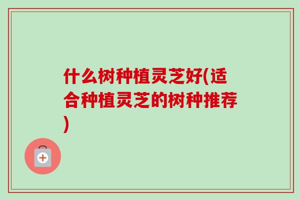 什么树种植灵芝好(适合种植灵芝的树种推荐)