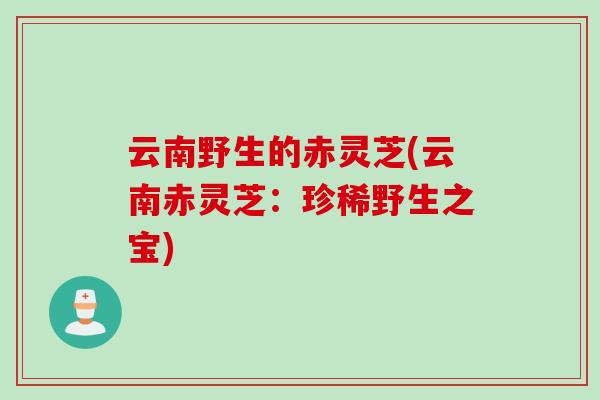 云南野生的赤灵芝(云南赤灵芝：珍稀野生之宝)