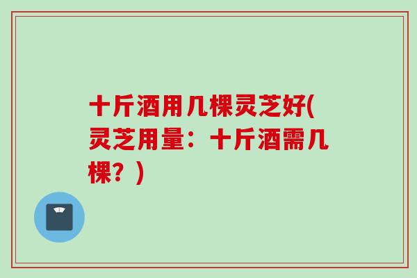 十斤酒用几棵灵芝好(灵芝用量：十斤酒需几棵？)
