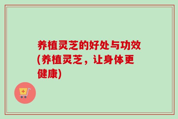 养植灵芝的好处与功效(养植灵芝，让身体更健康)