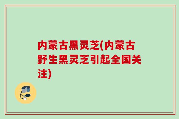 内蒙古黑灵芝(内蒙古野生黑灵芝引起全国关注) 内蒙古黑灵芝(内蒙古野生黑灵芝引起全国关注)