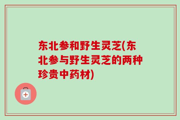东北参和野生灵芝(东北参与野生灵芝的两种珍贵材) 东北参和野生灵芝(东北参与野生灵芝的两种珍贵材)