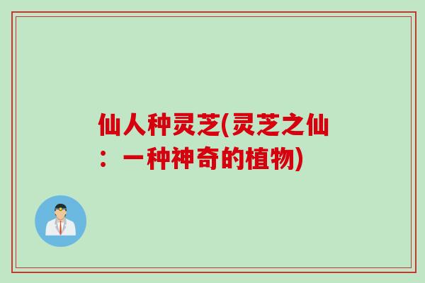 仙人种灵芝(灵芝之仙：一种神奇的植物)