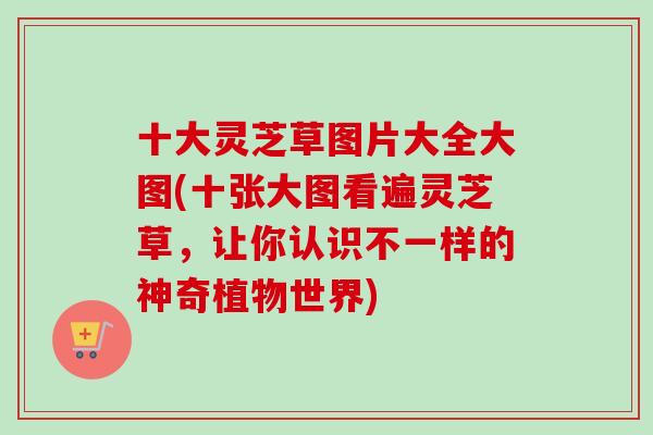 十大灵芝草图片大全大图(十张大图看遍灵芝草,让你认识不一样的神奇植物世界) 十大灵芝草图片大全大图(十张大图看遍灵芝草,让你认识不一样的神奇植物世界)