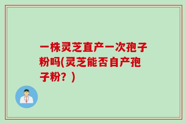 一株灵芝直产一次孢子粉吗(灵芝能否自产孢子粉？)