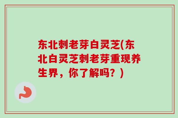 东北刺老芽白灵芝(东北白灵芝刺老芽重现养生界，你了解吗？)