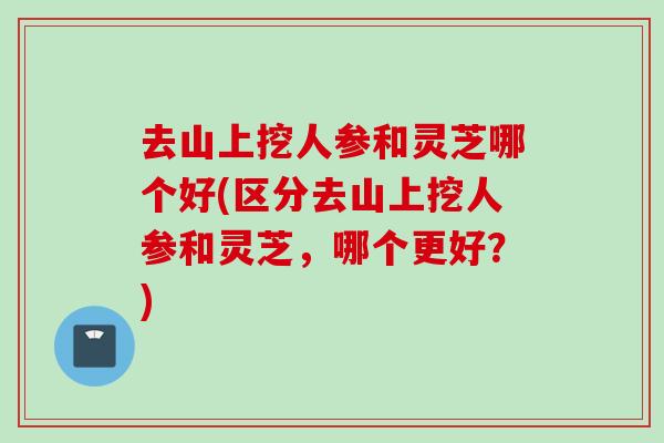 去山上挖人参和灵芝哪个好(区分去山上挖人参和灵芝，哪个更好？)