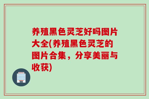 养殖黑色灵芝好吗图片大全(养殖黑色灵芝的图片合集，分享美丽与收获)