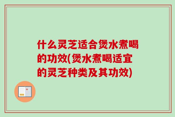 什么灵芝适合煲水煮喝的功效(煲水煮喝适宜的灵芝种类及其功效)