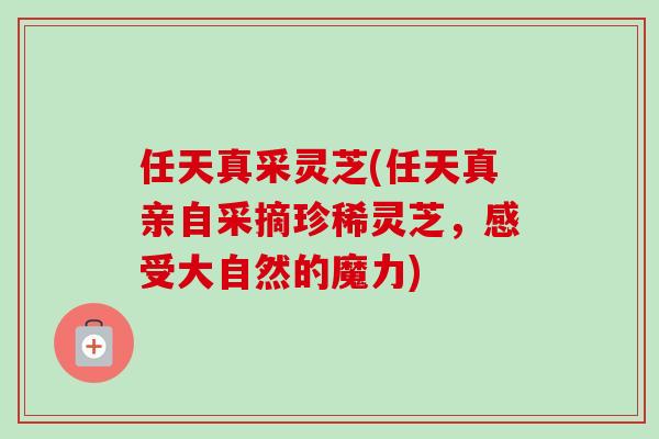任天真采灵芝(任天真亲自采摘珍稀灵芝，感受大自然的魔力)