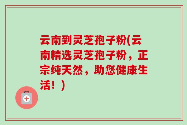 云南到灵芝孢子粉(云南精选灵芝孢子粉，正宗纯天然，助您健康生活！)