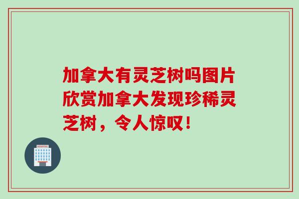 加拿大有灵芝树吗图片欣赏加拿大发现珍稀灵芝树，令人惊叹！