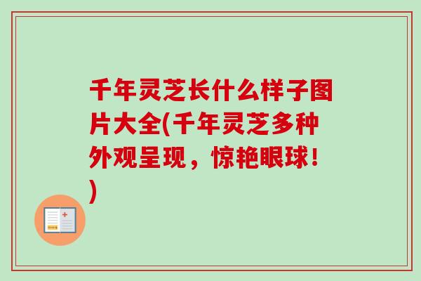 千年灵芝长什么样子图片大全(千年灵芝多种外观呈现,惊艳眼球!) 千年灵芝长什么样子图片大全(千年灵芝多种外观呈现,惊艳眼球!)
