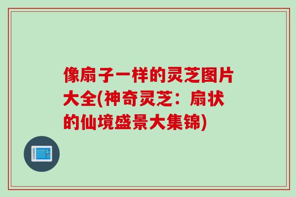 像扇子一样的灵芝图片大全(神奇灵芝:扇状的仙境盛景大集锦) 像扇子一样的灵芝图片大全(神奇灵芝:扇状的仙境盛景大集锦)