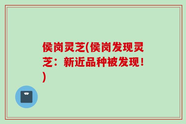 侯岗灵芝(侯岗发现灵芝:新近品种被发现!) 侯岗灵芝(侯岗发现灵芝:新近品种被发现!)