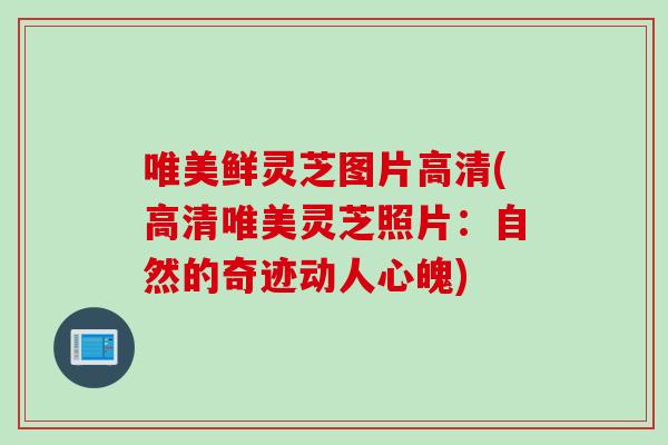 唯美鲜灵芝图片高清(高清唯美灵芝照片:自然的奇迹动人心魄) 唯美鲜灵芝图片高清(高清唯美灵芝照片:自然的奇迹动人心魄)